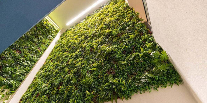 How to Choose Your Green Wall Lighting