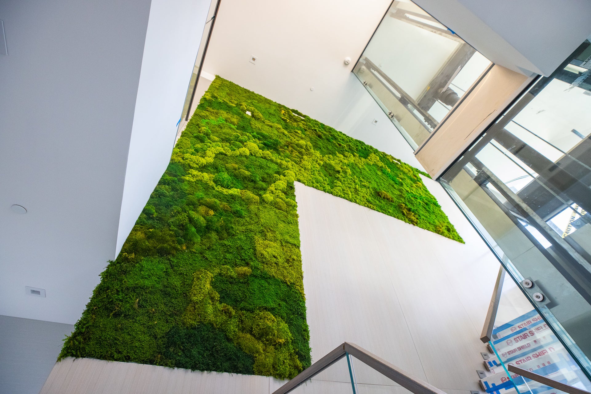 Moss Walls