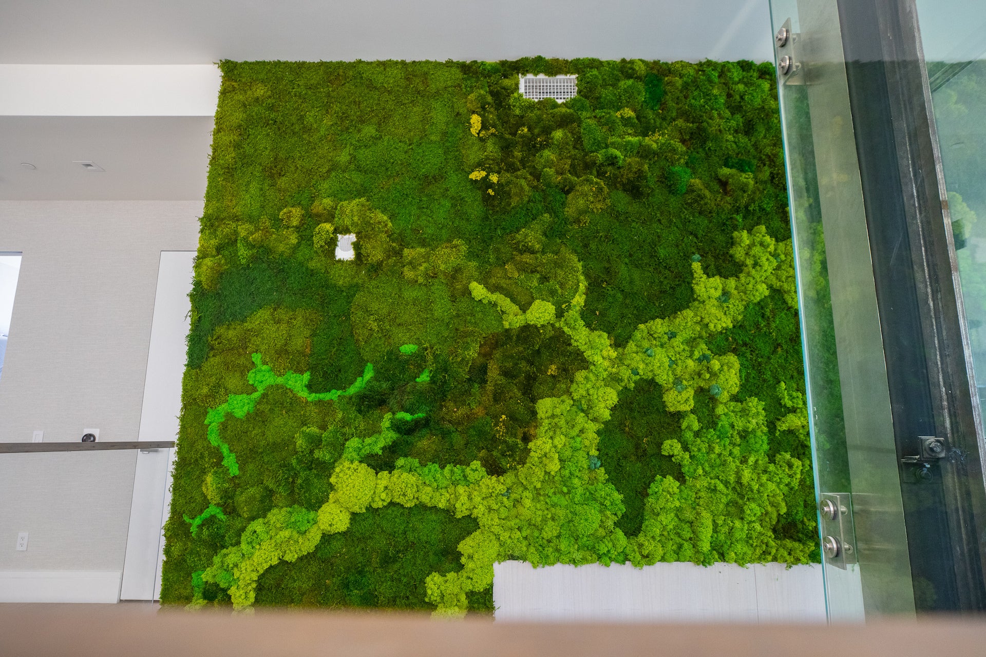 Moss Walls