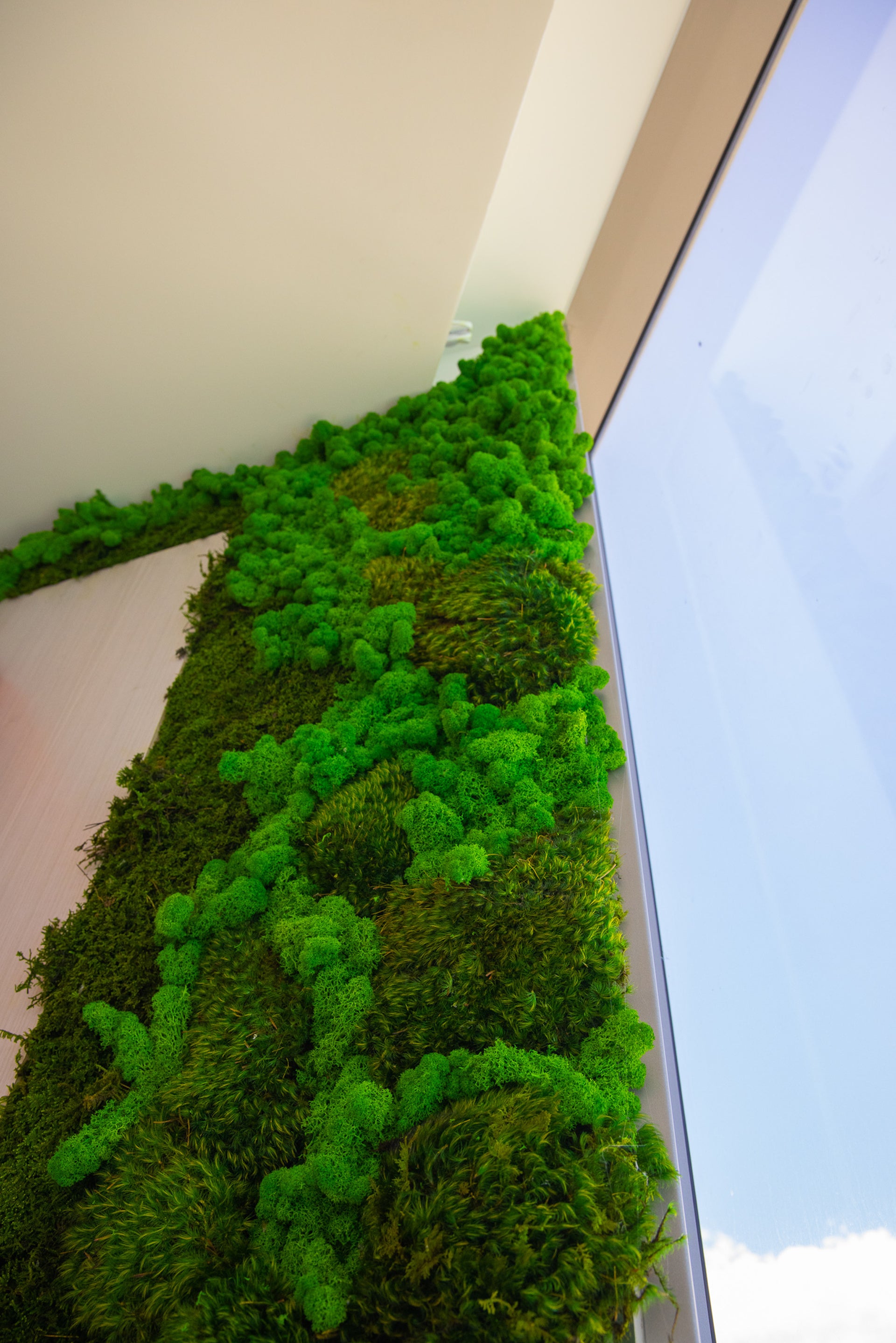 Moss Walls