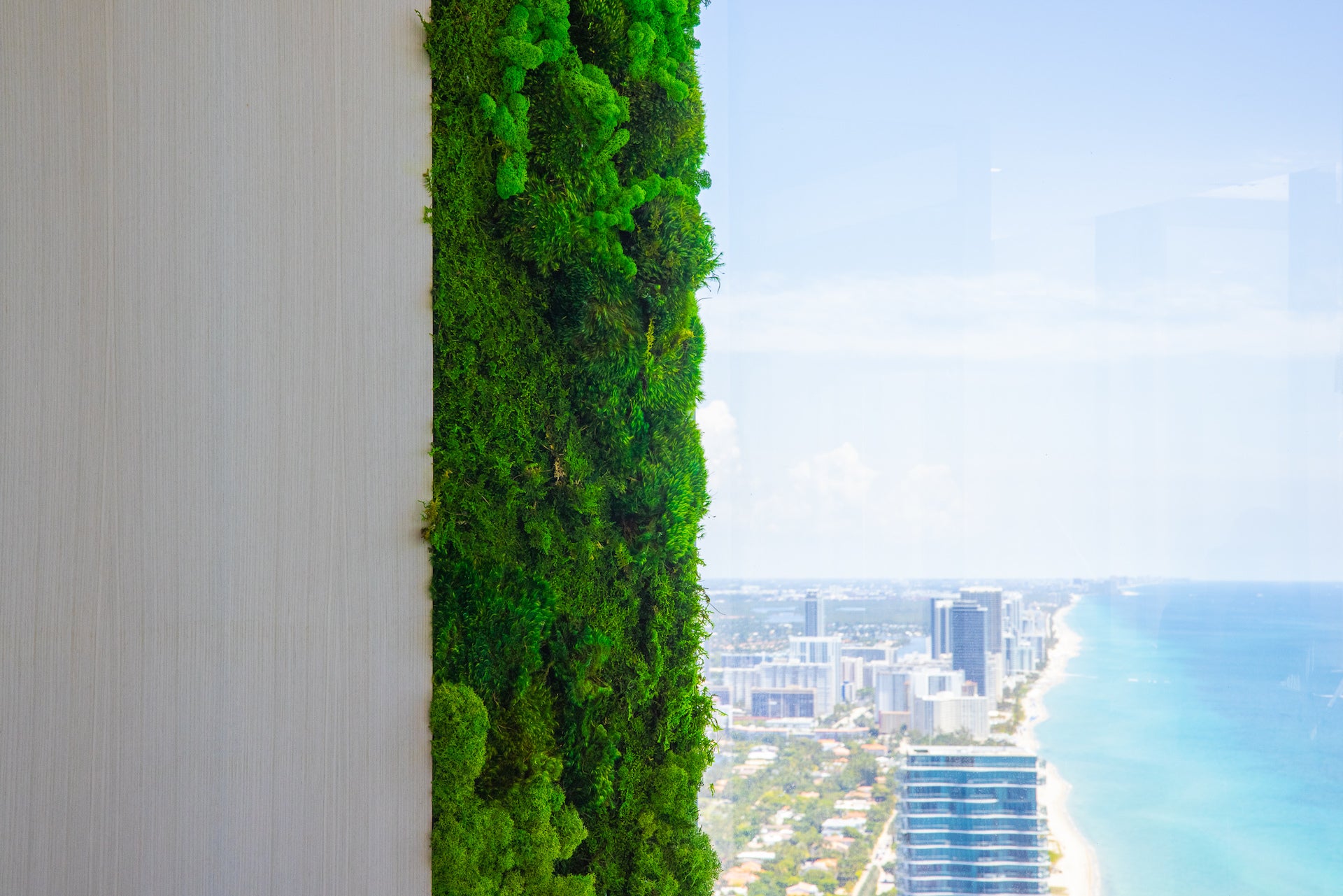Moss Walls