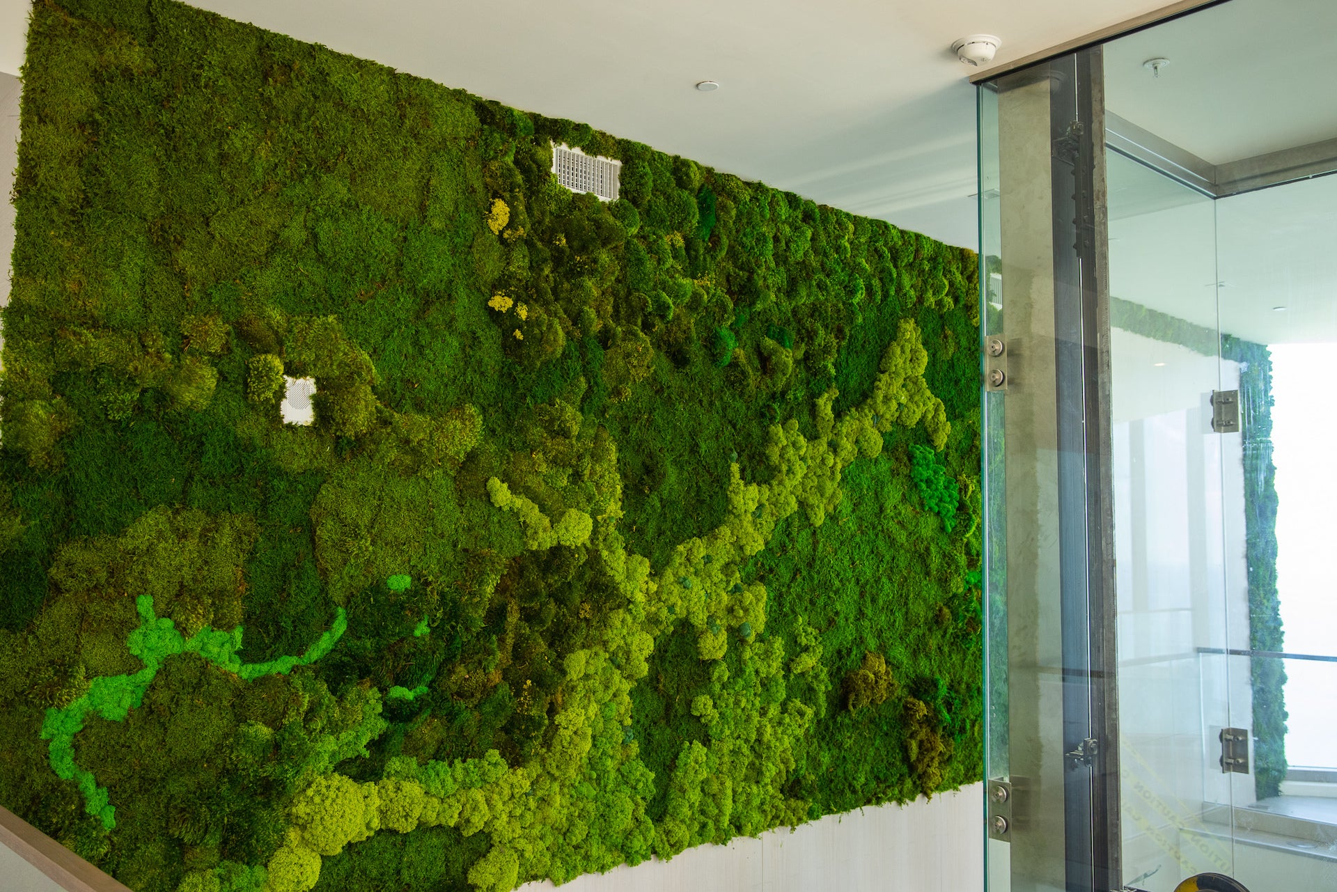 Moss Walls