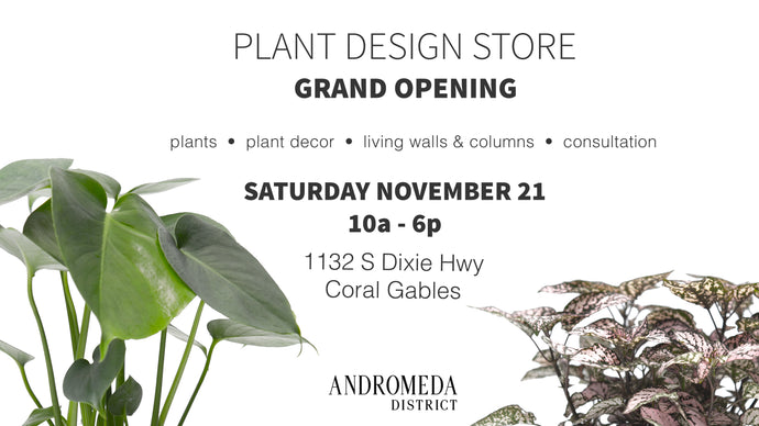 Biophilic Design Store Grand Opening!
