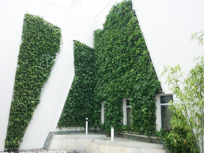 Featured Green Wall Aventura Library